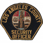 Los Angeles County Department of Health Services, CA