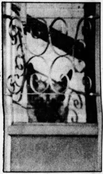 K9 Sarge II | Hampton Police Department, Virginia K9 Sarge II | Hampton Police Department, Virginia