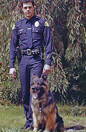 K9 Sonny | Ventura Police Department, California K9 Sonny | Ventura Police Department, California