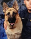 K9 Dax | Phoenix Police Department, Arizona