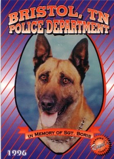 K9 Boris | Bristol Police Department, Tennessee K9 Boris | Bristol Police Department, Tennessee