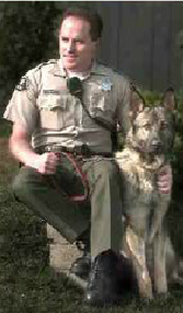 K9 Urk | San Diego County Sheriff's Department, California K9 Urk | San Diego County Sheriff's Department, California