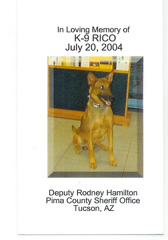 K9 Rico | Pima County Sheriff's Department, Arizona K9 Rico | Pima County Sheriff's Department, Arizona