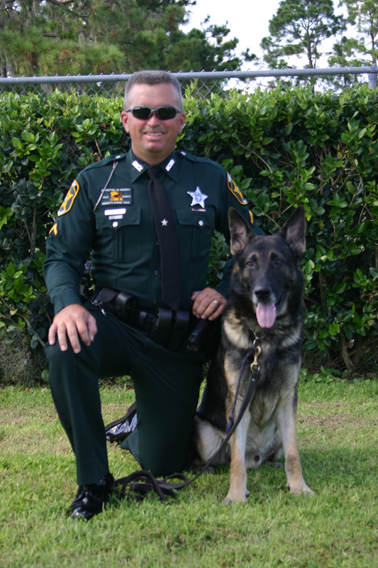 K9 Diogi | Polk County Sheriff's Office, Florida K9 Diogi | Polk County Sheriff's Office, Florida