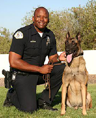 K9 Stryker | Oceanside Police Department, California K9 Stryker | Oceanside Police Department, California