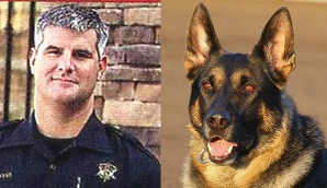 K9 Striker | Scottsdale Police Department, Arizona K9 Striker | Scottsdale Police Department, Arizona