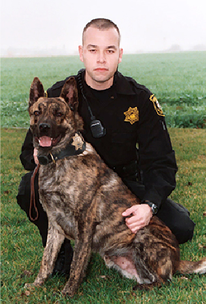K9 Niko | San Joaquin County Sheriff's Office, California K9 Niko | San Joaquin County Sheriff's Office, California