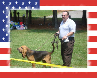 K9 Red | Franklin County Sheriff's Office, Virginia K9 Red | Franklin County Sheriff's Office, Virginia