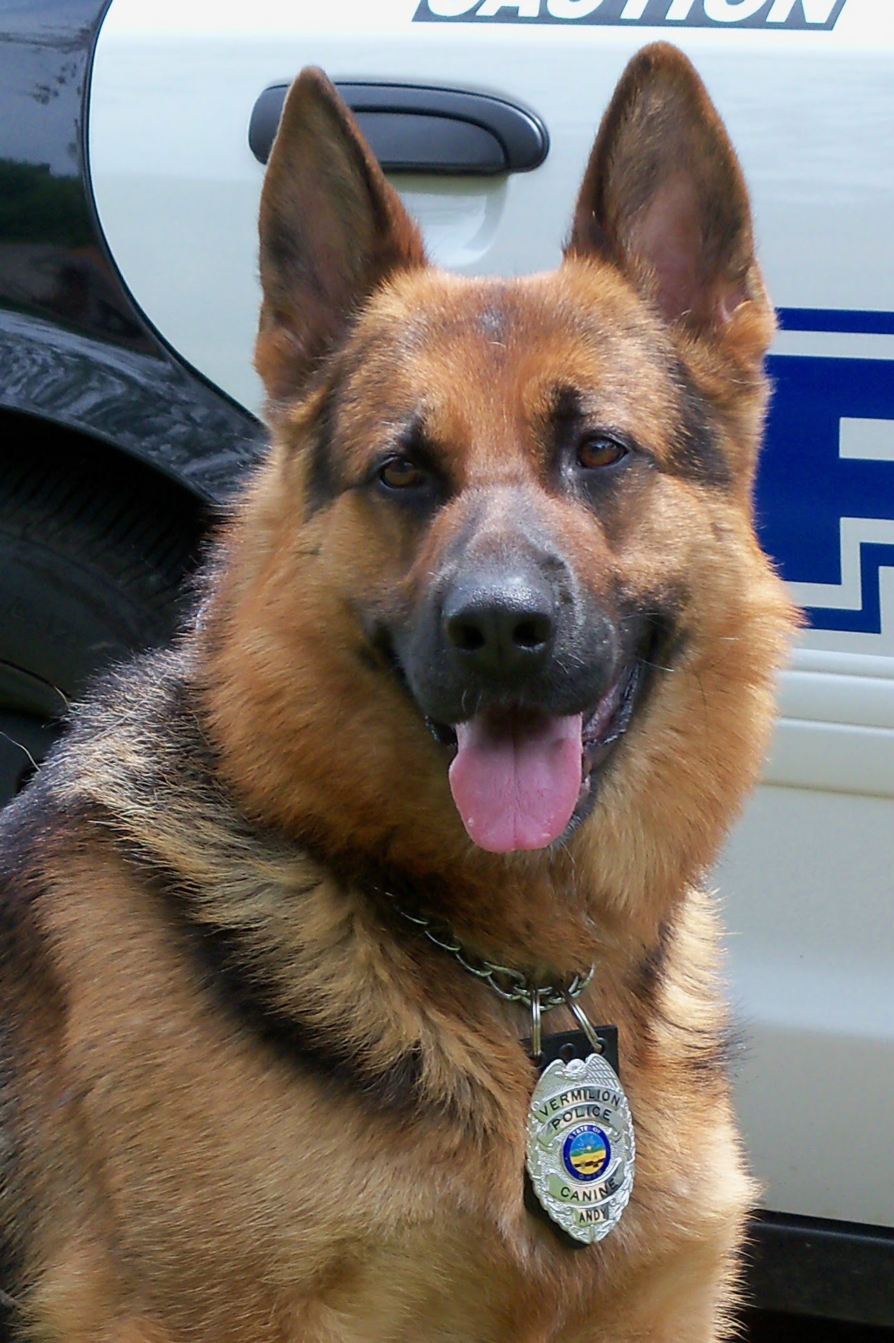 K9 Andy | Vermilion Police Department, Ohio K9 Andy | Vermilion Police Department, Ohio