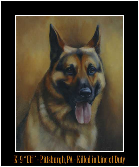 K9 Ulf | Pittsburgh Bureau of Police, Pennsylvania K9 Ulf | Pittsburgh Bureau of Police, Pennsylvania
