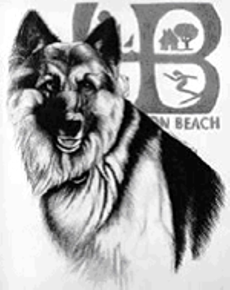 K9 Kim | Huntington Beach Police Department, California K9 Kim | Huntington Beach Police Department, California