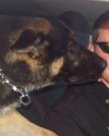 K9 Rocky | Niagara County Sheriff's Office, New York