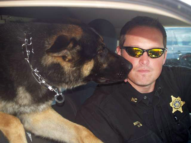 K9 Rocky | Niagara County Sheriff's Office, New York K9 Rocky | Niagara County Sheriff's Office, New York