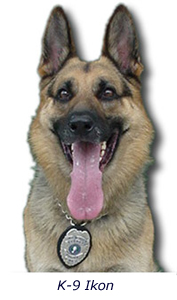 K9 Ikon | Everett Police Department, Washington K9 Ikon | Everett Police Department, Washington