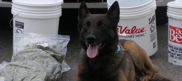 K9 Tank | Utah Highway Patrol, Utah K9 Tank | Utah Highway Patrol, Utah