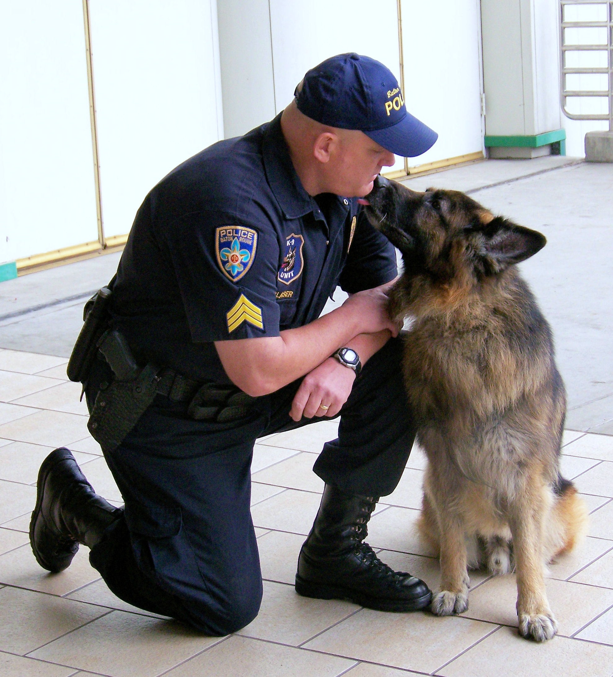 K9 Philos | Baton Rouge Police Department, Louisiana K9 Philos | Baton Rouge Police Department, Louisiana