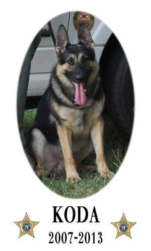 K9 Koda | Leon County Sheriff's Office, Florida K9 Koda | Leon County Sheriff's Office, Florida