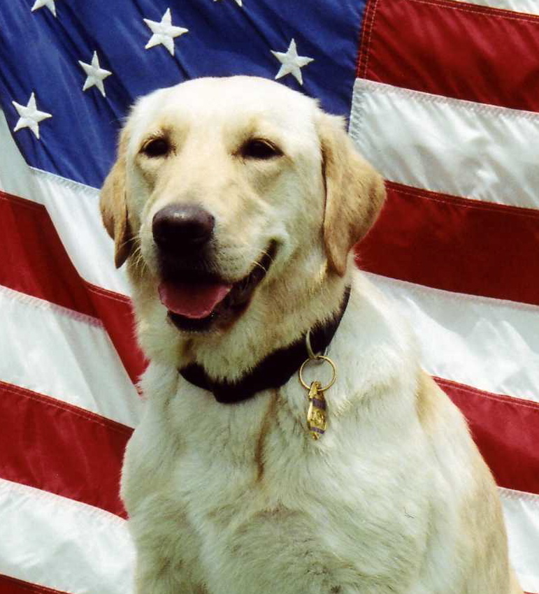 K9 L.E. | United States Department of Justice - Bureau of Alcohol, Tobacco, Firearms and Explosives, U.S. Government K9 L.E. | United States Department of Justice - Bureau of Alcohol, Tobacco, Firearms and Explosives, U.S. Government