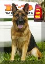 K9 Vasko | St. Lucie County Sheriff's Office, Florida