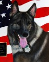 K9 Maros | United States Department of Agriculture - Forest Service Law Enforcement and Investigations, U.S. Government