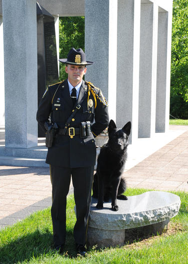 K9 Major | Orange Police Department, Connecticut K9 Major | Orange Police Department, Connecticut