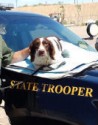 K9 Robbie | Wyoming Highway Patrol, Wyoming