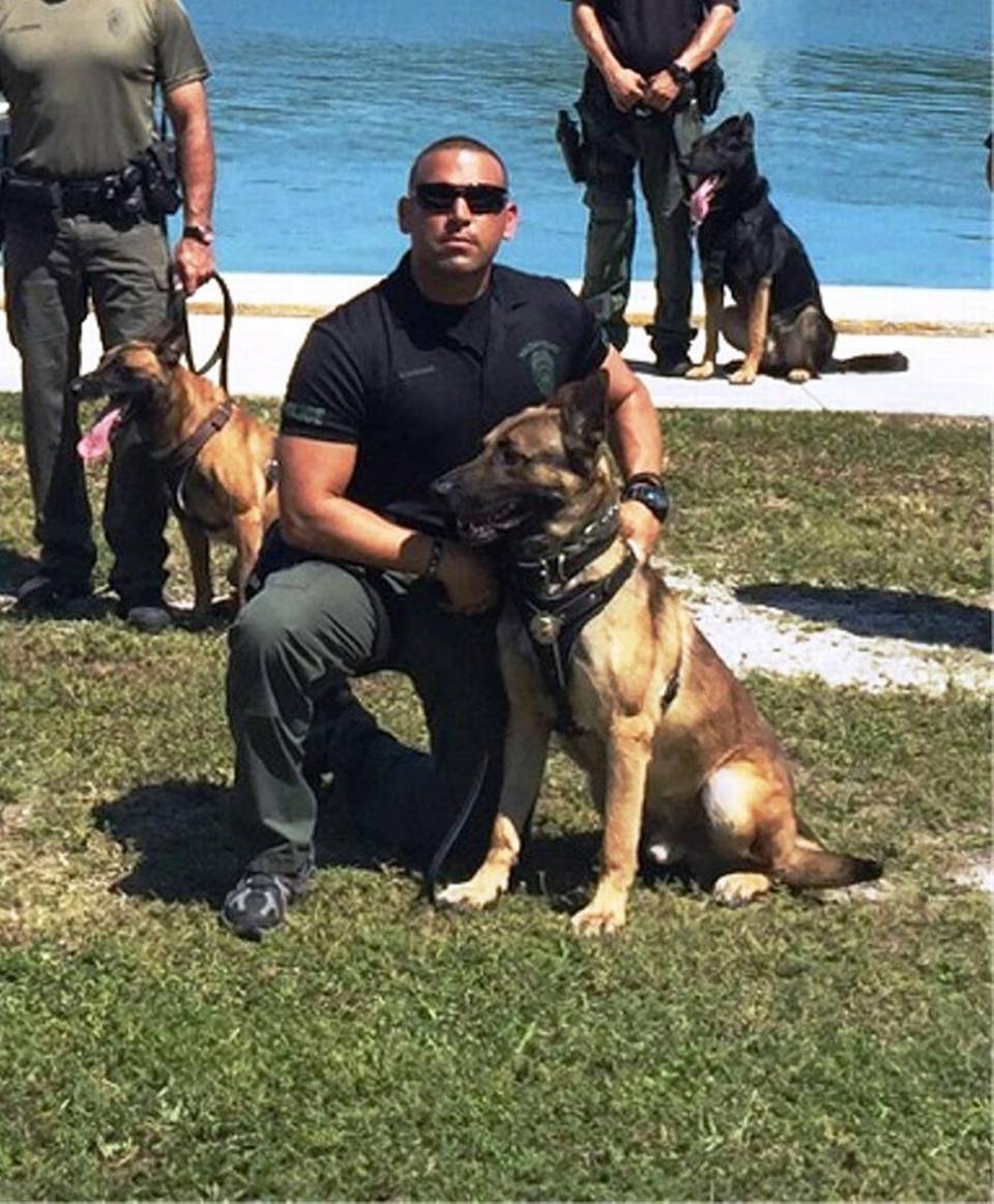 K9 Hector | Hialeah Police Department, Florida K9 Hector | Hialeah Police Department, Florida