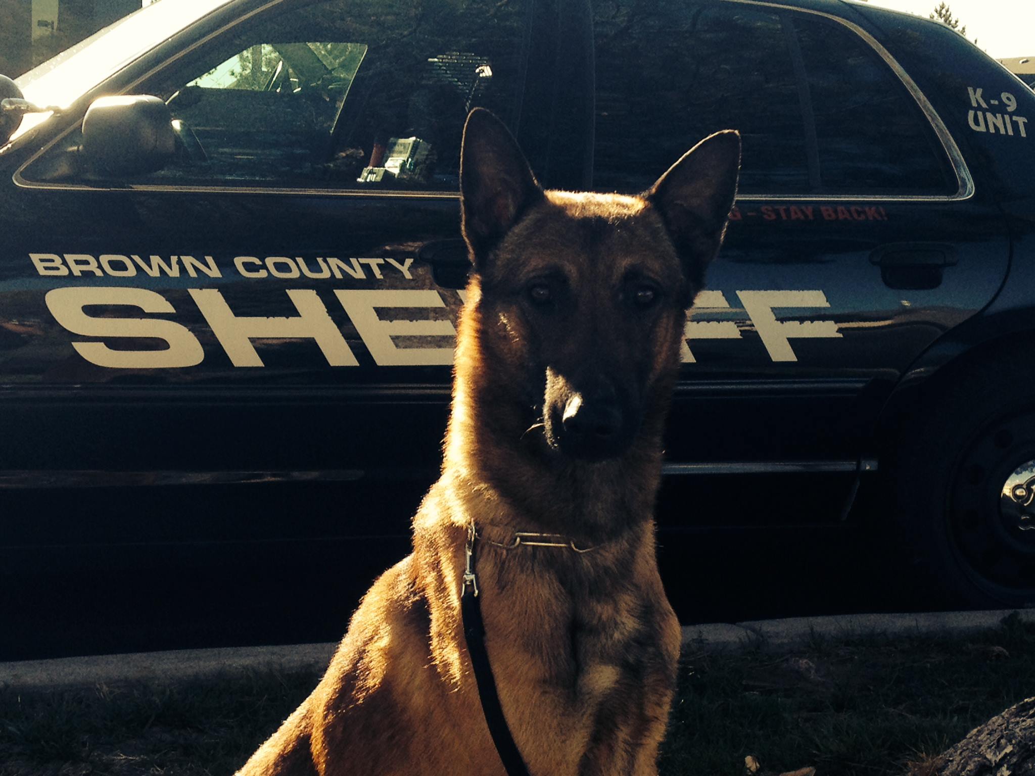 K9 Wix | Brown County Sheriff's Office, Wisconsin K9 Wix | Brown County Sheriff's Office, Wisconsin