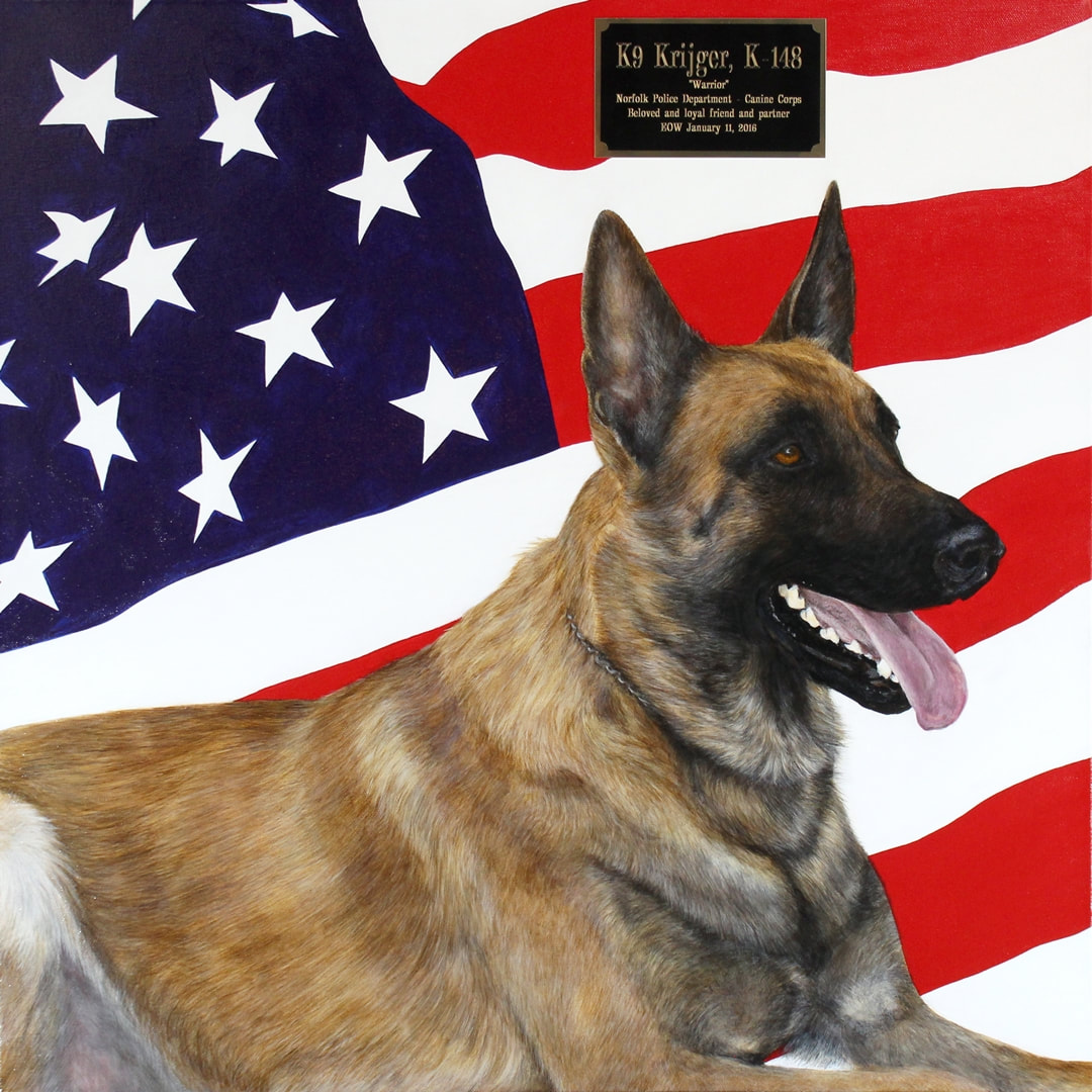 K9 Krijger | Norfolk Police Department, Virginia K9 Krijger | Norfolk Police Department, Virginia