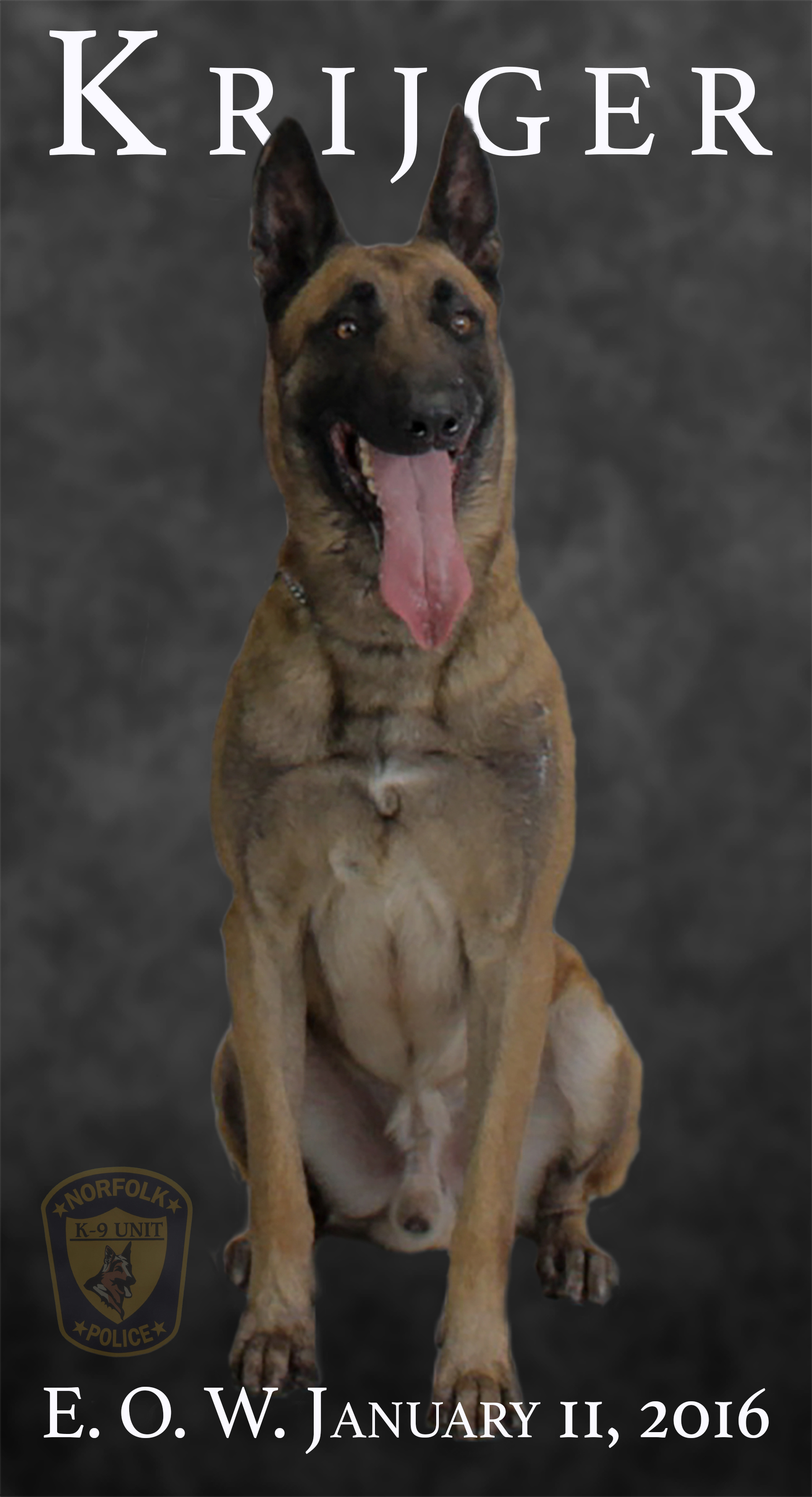 K9 Krijger | Norfolk Police Department, Virginia K9 Krijger | Norfolk Police Department, Virginia