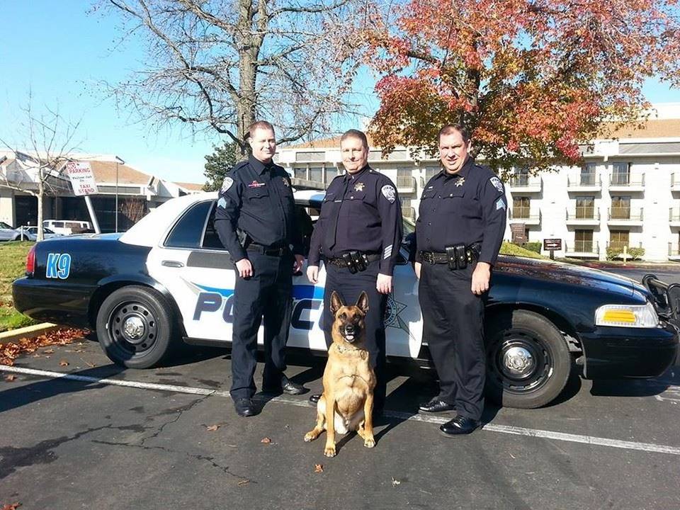 K9 Jag | Twin Rivers Unified School District Police Department, California K9 Jag | Twin Rivers Unified School District Police Department, California