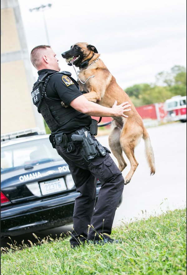 K9 Kobus | Omaha Police Department, Nebraska K9 Kobus | Omaha Police Department, Nebraska