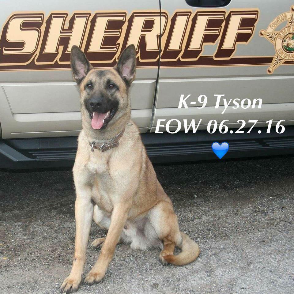 K9 Tyson | Fountain County Sheriff's Office, Indiana K9 Tyson | Fountain County Sheriff's Office, Indiana