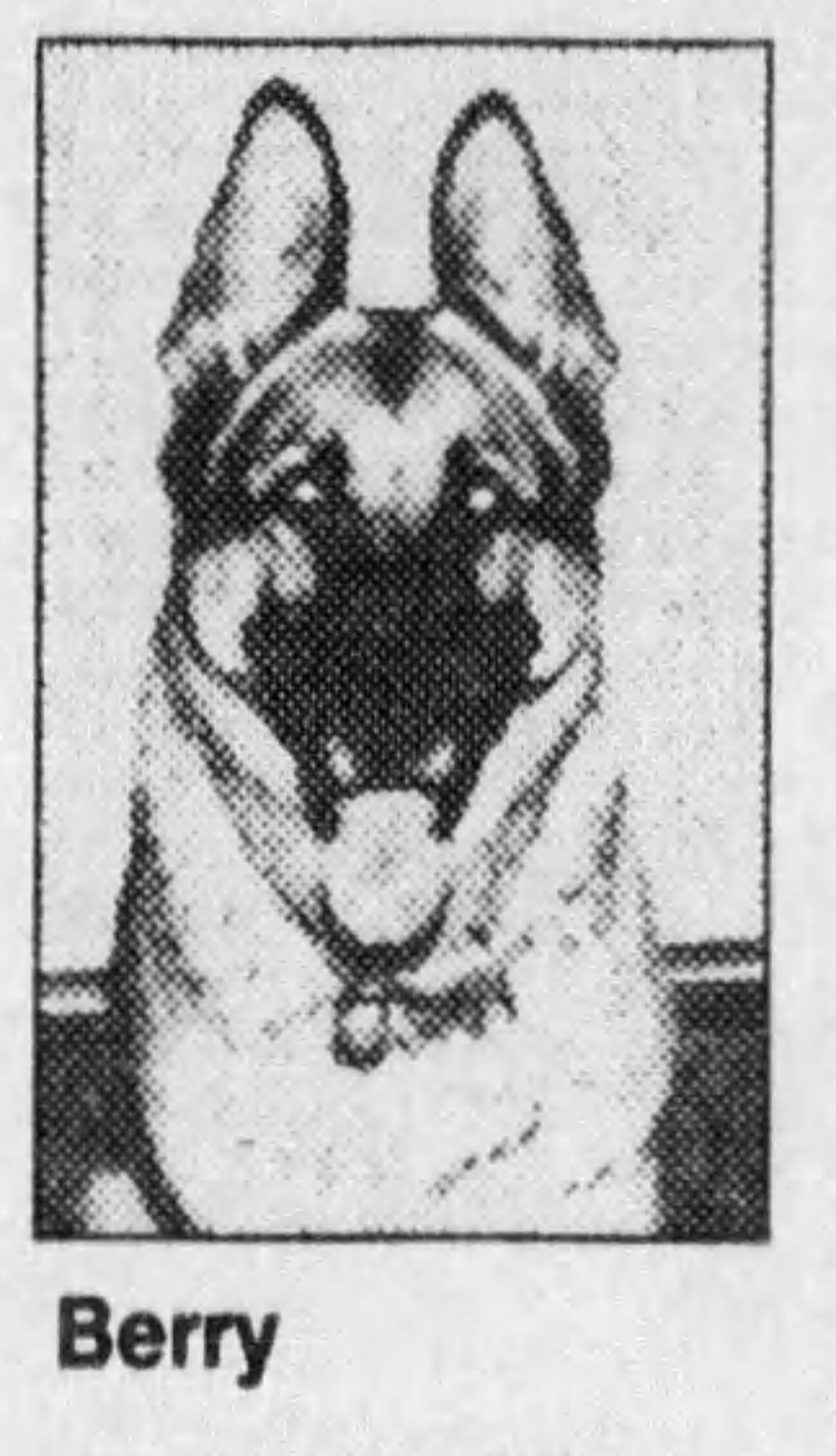 K9 Berry von den Kemper Benden | Louisville Police Department, Kentucky K9 Berry von den Kemper Benden | Louisville Police Department, Kentucky