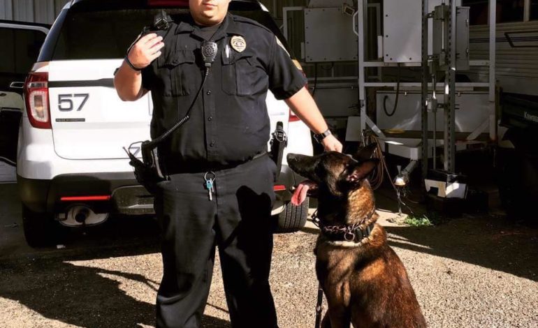K9 Roscoe | Crowley Police Department, Louisiana K9 Roscoe | Crowley Police Department, Louisiana