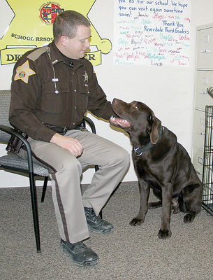 K9 Mojo | DeKalb County Sheriff's Office, Indiana K9 Mojo | DeKalb County Sheriff's Office, Indiana