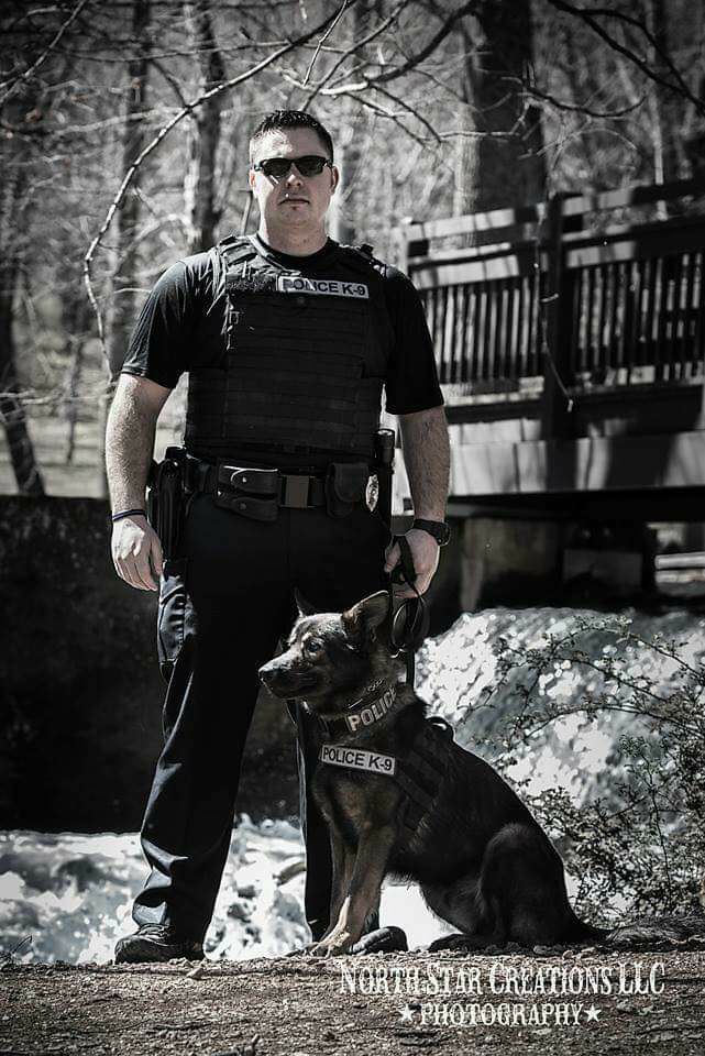 K9 Argo | Normandy Police Department, Missouri K9 Argo | Normandy Police Department, Missouri
