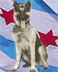 K9 Duke | Chicago Police Department, Illinois K9 Duke | Chicago Police Department, Illinois