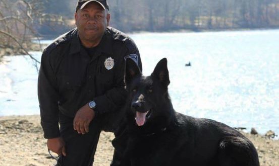 K9 Koda | Brockton Police Department, Massachusetts K9 Koda | Brockton Police Department, Massachusetts