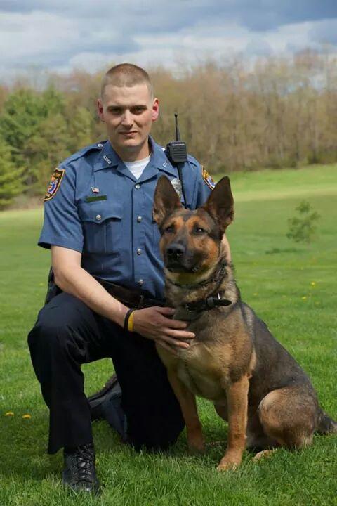 K9 Dino | Green Township Police Department, Ohio K9 Dino | Green Township Police Department, Ohio