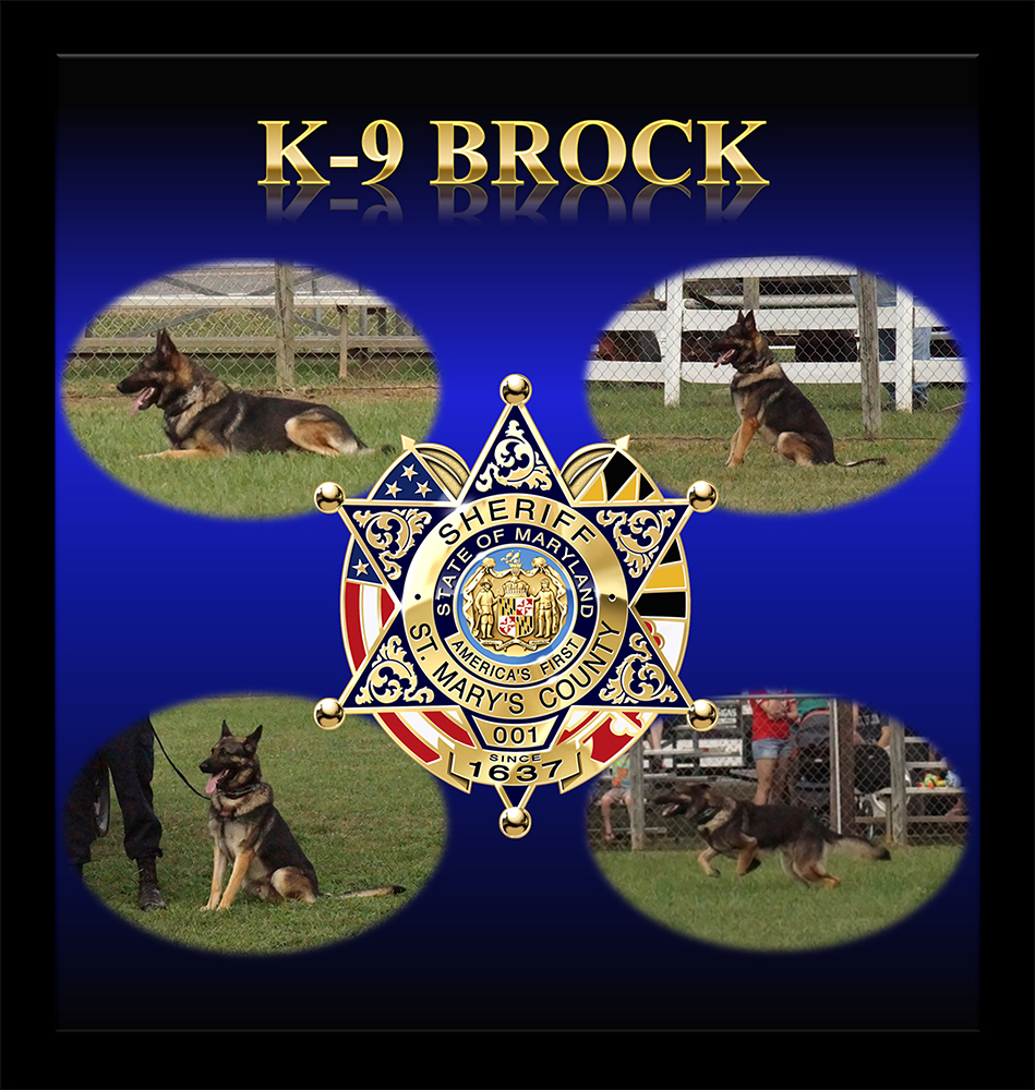 K9 Brock | St. Mary's County Sheriff's Office, Maryland K9 Brock | St. Mary's County Sheriff's Office, Maryland