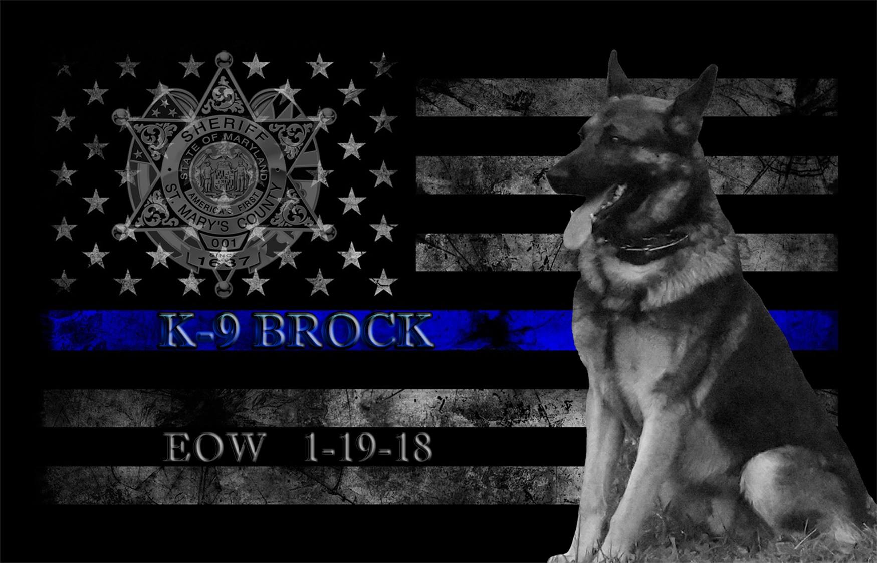 K9 Brock | St. Mary's County Sheriff's Office, Maryland K9 Brock | St. Mary's County Sheriff's Office, Maryland