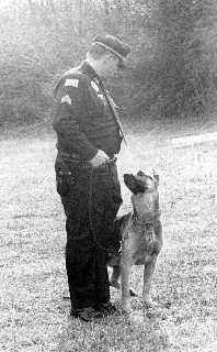 K9 Max | Dickson Police Department, Tennessee K9 Max | Dickson Police Department, Tennessee