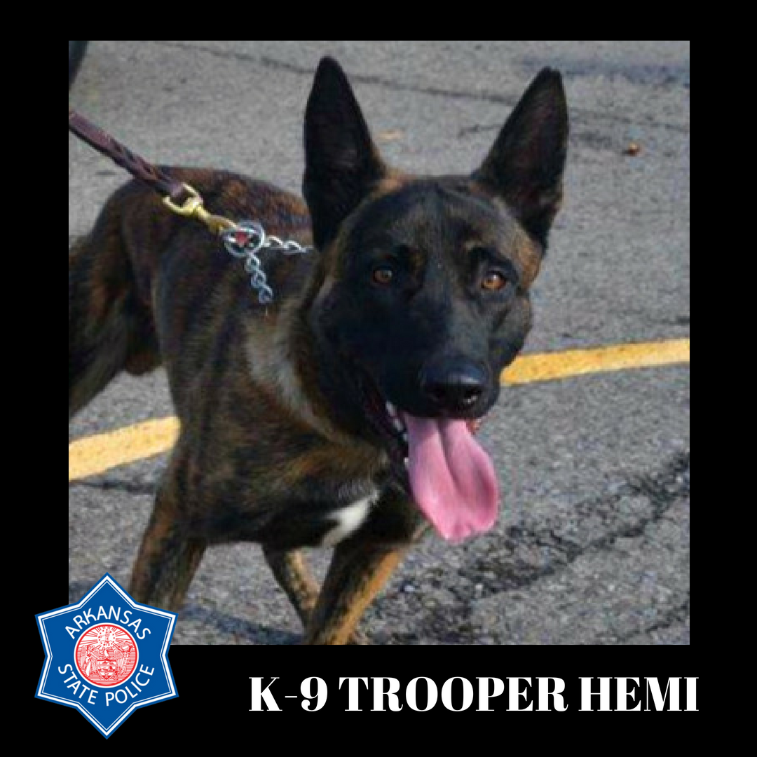 K9 Hemi | Arkansas State Police, Arkansas K9 Hemi | Arkansas State Police, Arkansas