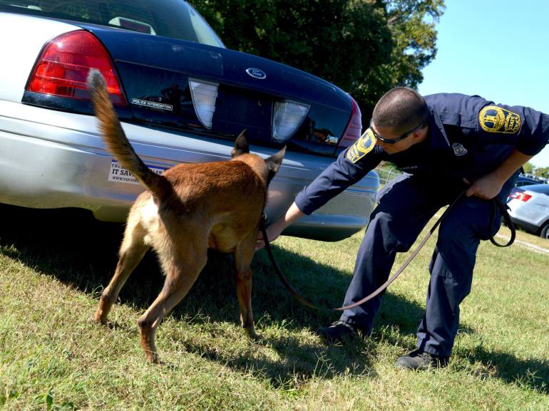 K9 Vader | Virginia State Police, Virginia K9 Vader | Virginia State Police, Virginia