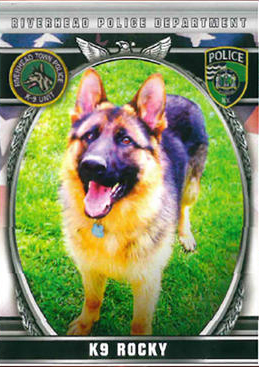 K9 Rocky | Riverhead Police Department, New York K9 Rocky | Riverhead Police Department, New York