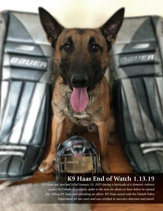 K9 Haas | Duluth Police Department, Minnesota K9 Haas | Duluth Police Department, Minnesota