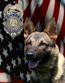 K9 Doby | Fairfax County Police Department, Virginia K9 Doby | Fairfax County Police Department, Virginia