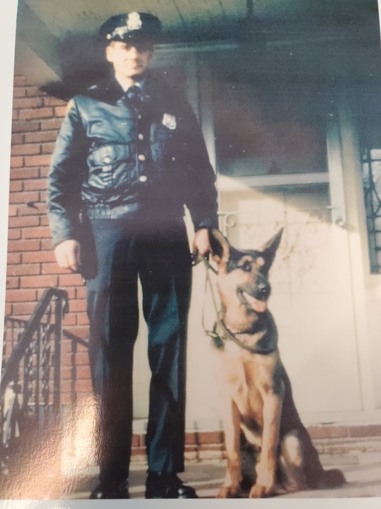 K9 Fury | York City Police Department, Pennsylvania K9 Fury | York City Police Department, Pennsylvania