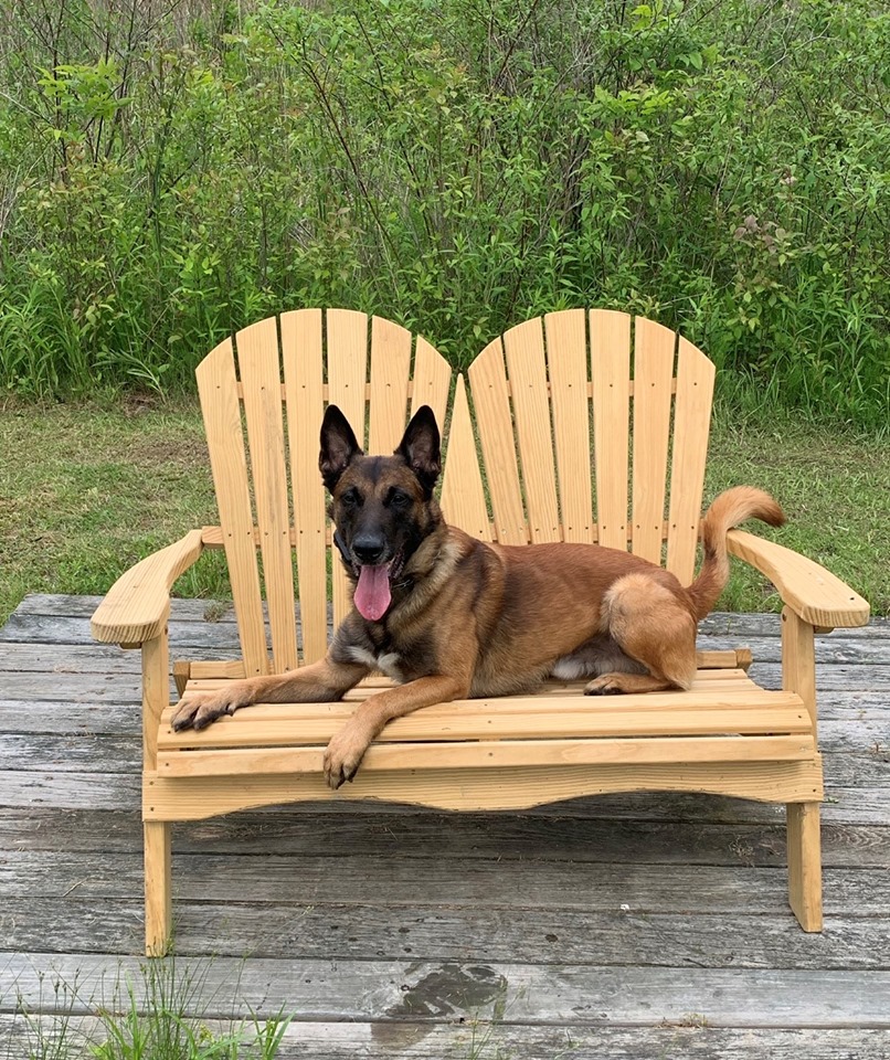 K9 EJ | New York State Police, New York K9 EJ | New York State Police, New York